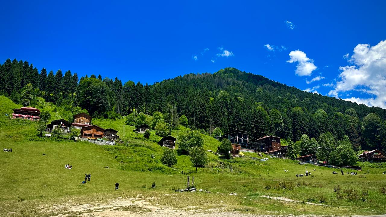 Günübirlik Rize Ayder Yaylası Turu    Kişi başı 500TL                                                     