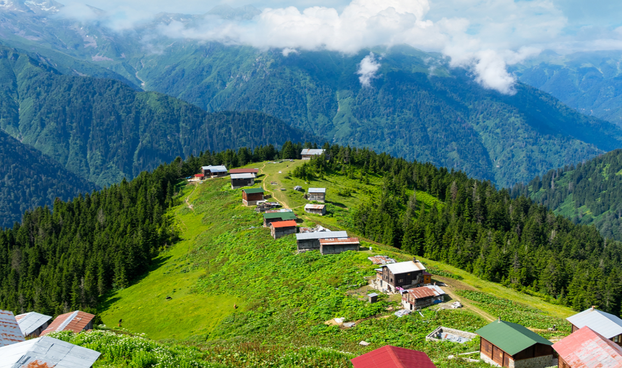  Pokut Sal Yaylası 600TL